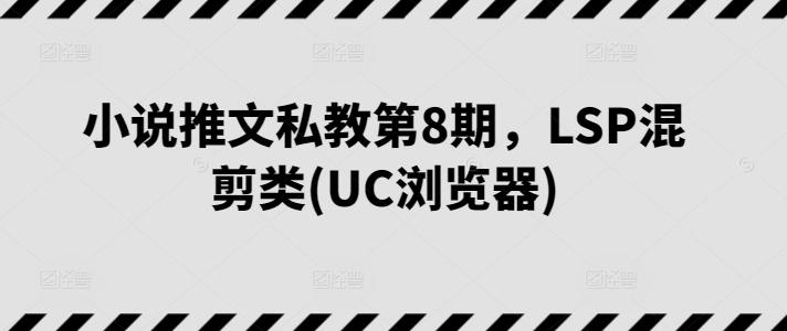 小说推文私教第8期，LSP混剪类(UC浏览器)-Ai创业网