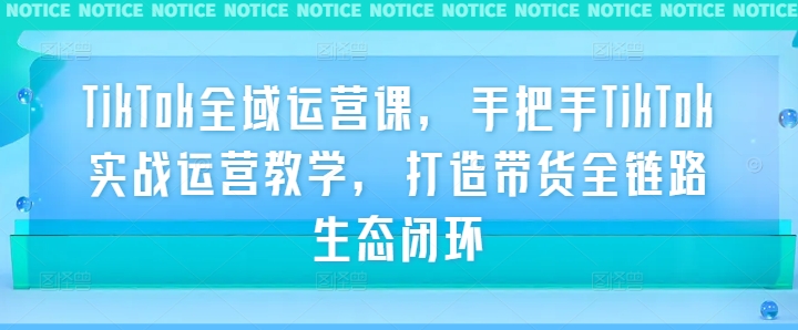 TikTok全域运营课，手把手TikTok实战运营教学，打造带货全链路生态闭环-Ai创业网