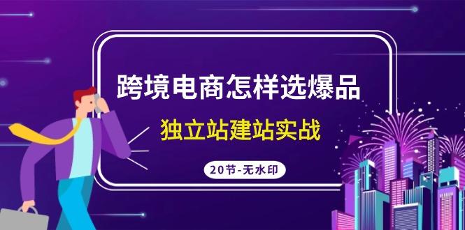 (9369期)跨境电商怎样选爆品，独立站建站实战(20节高清无水印课)-Ai创业网