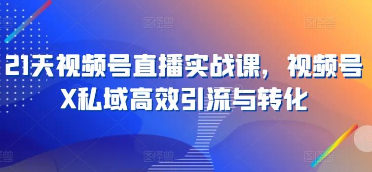 21天视频号直播实战课，视频号X私域高效引流与转化-Ai创业网