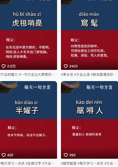 抖音最新涨粉玩法，图文方言暴力涨粉实操，126作品涨粉11W-Ai创业网