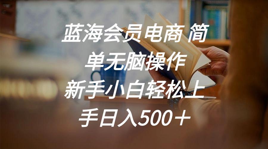 蓝海会员电商 简单无脑操作 新手小白轻松上手日入500＋-Ai创业网
