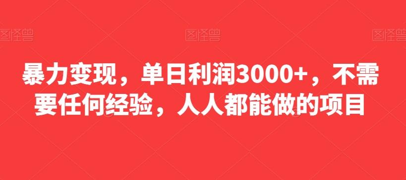 暴力变现，单日利润3000+，不需要任何经验，人人都能做的项目-Ai创业网