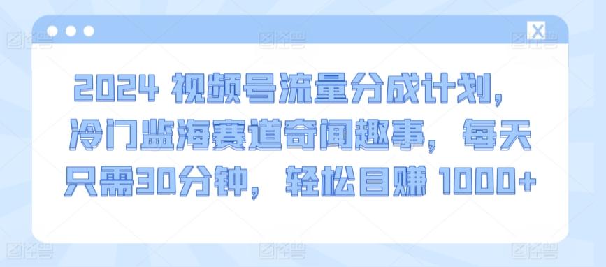 2024视频号流量分成计划，冷门监海赛道奇闻趣事，每天只需30分钟，轻松目赚 1000+【揭秘】-Ai创业网