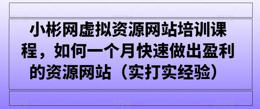 小彬网虚拟资源网站培训课程，如何一个月快速做出盈利的资源网站(实打实经验)-Ai创业网