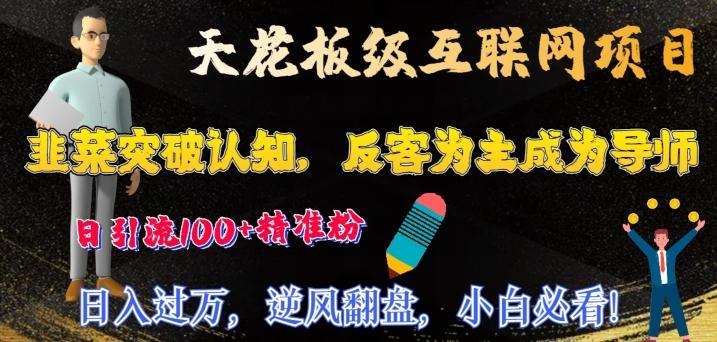 天花板级互联网项目，韭菜突破认知，反客为主成为导师，日引流100+精准粉-Ai创业网