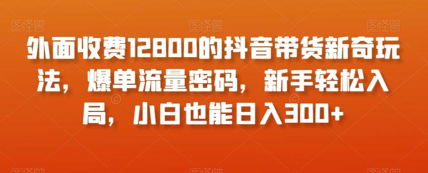 外面收费12800的抖音带货新奇玩法，爆单流量密码，新手轻松入局，小白也能日入300+【揭秘】-Ai创业网