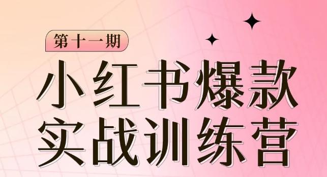 小红书博主爆款训练营第11期，手把手教你从0-1做小红书，从定位到起号到变现-Ai创业网
