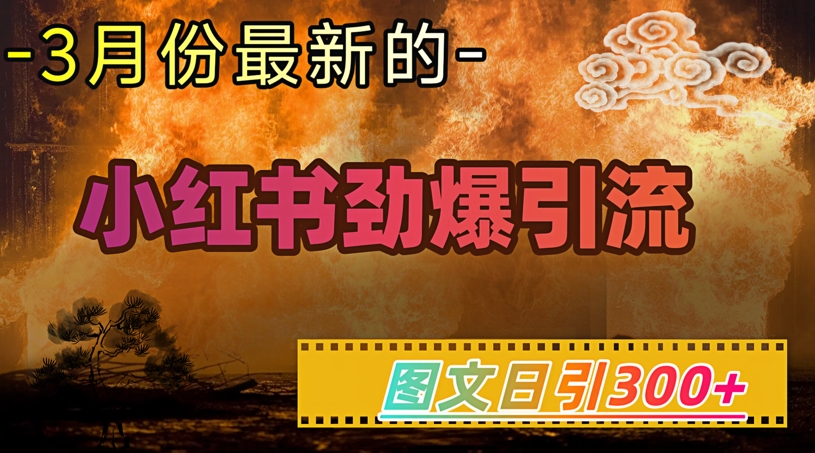小红书超劲爆引流手段，图文日引300+轻松变现1W-Ai创业网