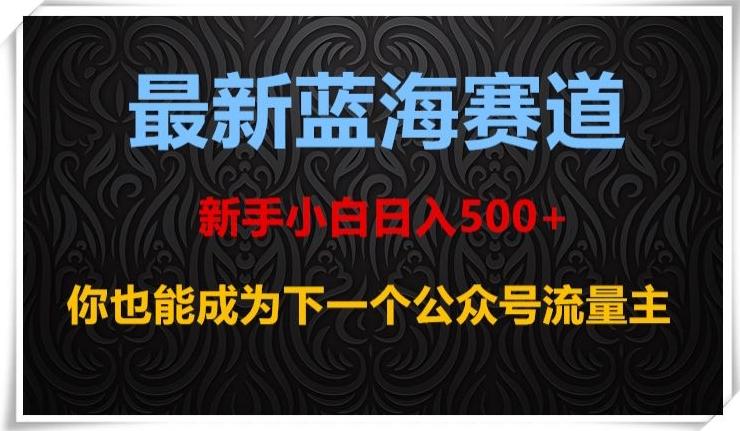最新蓝海赛道，新手小白日入500+，你也能成为下一个公众号流量主【揭秘】-Ai创业网
