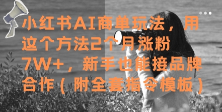 小红书AI商单玩法，用这个方法2个月涨粉7W+，新手也能接品牌合作(附全套指令模板)-Ai创业网