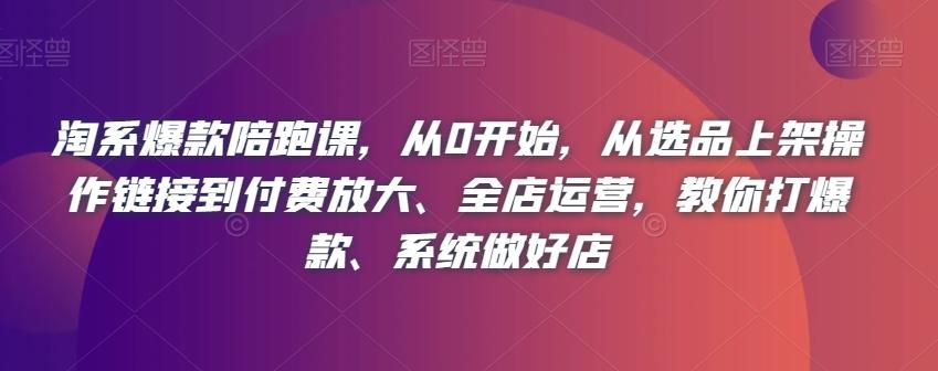 淘系爆款陪跑课，从0开始，从选品上架操作链接到付费放大、全店运营，教你打爆款、系统做好店-Ai创业网