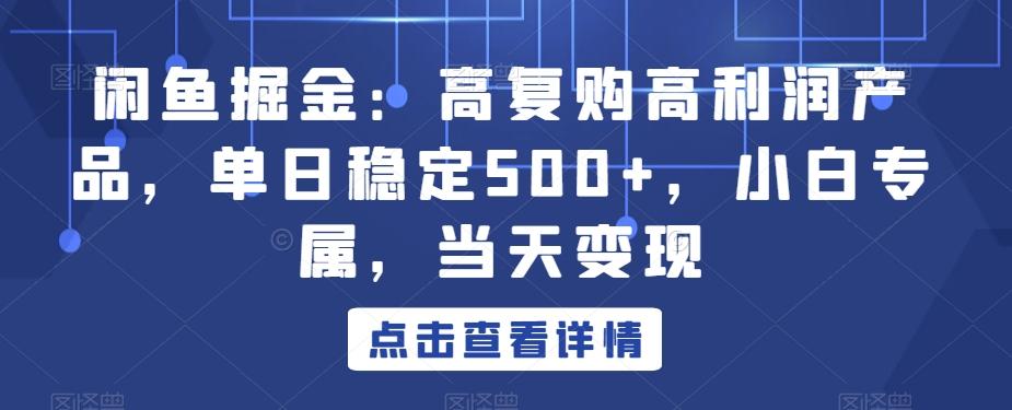 闲鱼掘金：高复购高利润产品，单日稳定500+，小白专属，当天变现-Ai创业网