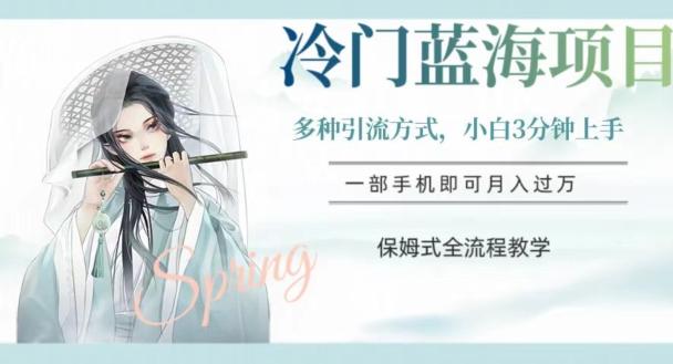 冷门蓝海项目，操作简单，小白3分钟上手，多种引流方式，保姆式全流程教学【揭秘】-Ai创业网