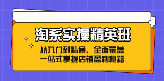 淘系实操精英班：从入门到精通，全面覆盖，一站式掌握店铺盈利秘籍-Ai创业网