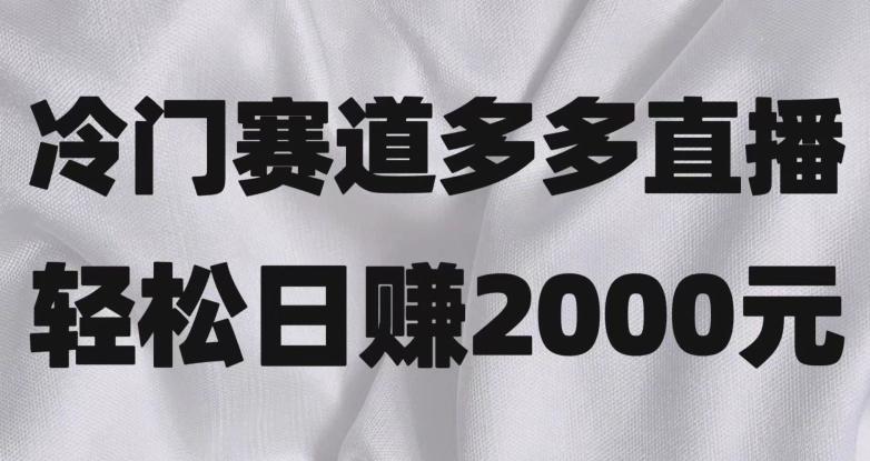 冷门赛道拼多多直播，简单念稿子，日收益2000＋【揭秘】-Ai创业网