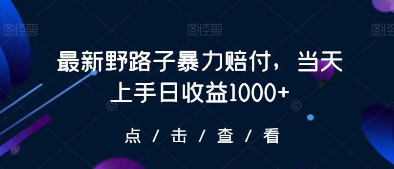 最新野路子暴力赔付，当天上手日收益1000+【仅揭秘】-Ai创业网