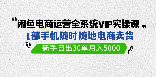 (9547期)闲鱼电商运营全系统VIP实战课，1部手机随时随地卖货，新手日出30单月入5000-Ai创业网