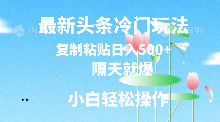 最新头条冷门玩法，隔天就爆，复制粘贴日入500+-Ai创业网