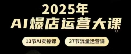2025年AI爆店运营大课，13节AI实操课+37节流量运营课-Ai创业网