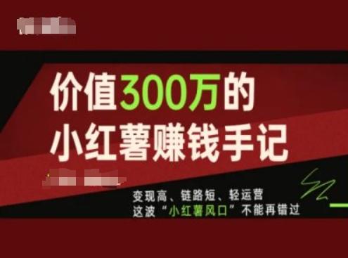 价值300万的小红书赚钱手记，变现高、链路短、轻运营，这波“小红薯风口”不能再错过-Ai创业网