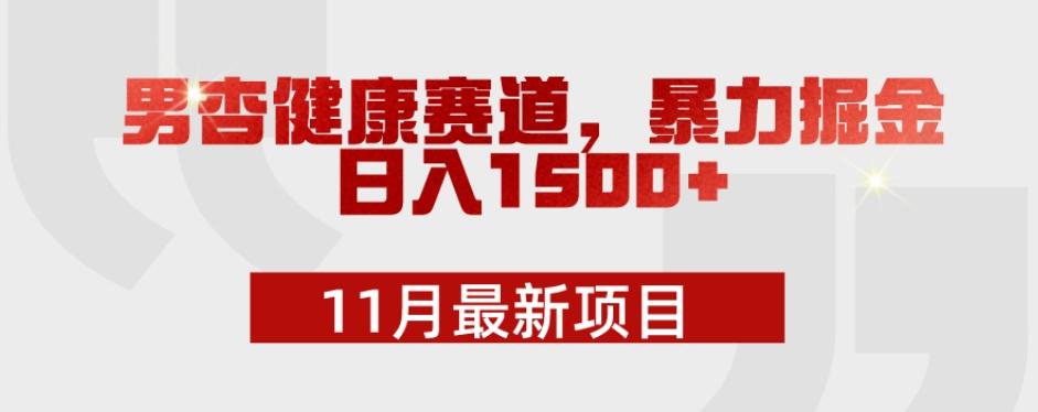 11月最新项目，男杏健康赛道，暴力掘金，日入1500+-Ai创业网