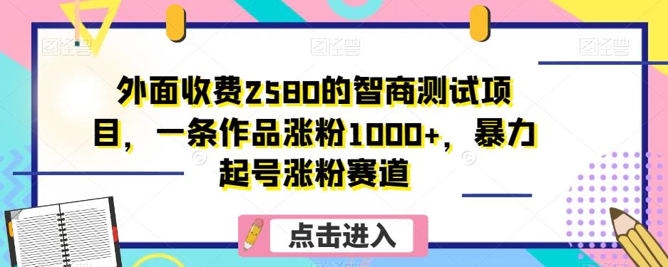 外面收费2580的智商测试项目，一条作品涨粉1000+，暴力起号涨粉赛道【揭秘】-Ai创业网