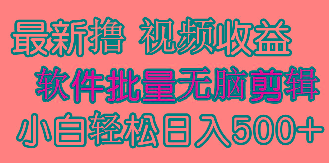 (9569期)发视频撸收益，软件无脑批量剪辑，第一天发第二天就有钱-Ai创业网