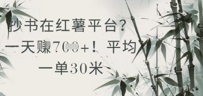 抄书在小红薯平台？平均一单30米，一天收益几张！-Ai创业网