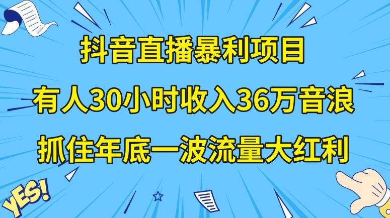 抖音直播暴利项目，有人30小时收入36万音浪，公司宣传片年会视频制作，抓住年底一波流量大红利【揭秘】-Ai创业网