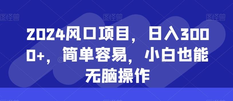 2024风口项目，日入3000+，简单容易，小白也能无脑操作-Ai创业网