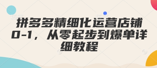 拼多多精细化运营店铺0-1，从零起步到爆单详细教程-Ai创业网