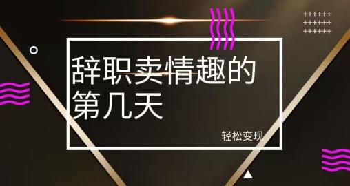 冷门赛道，辞职卖情趣的第几天，超暴力项目-Ai创业网