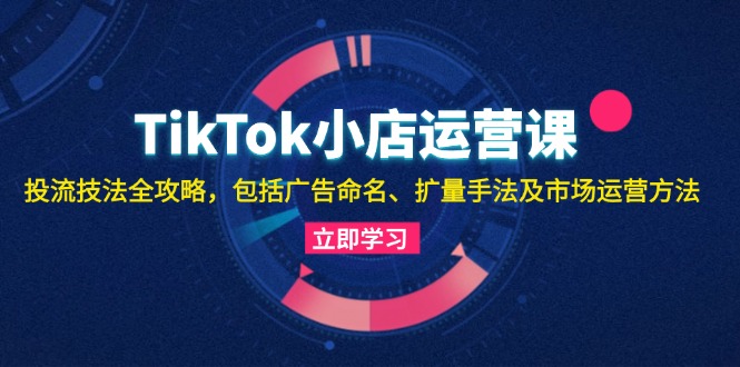 TikTok小店运营课：投流技法全攻略，包括广告命名 扩量手法及市场运营方法-Ai创业网