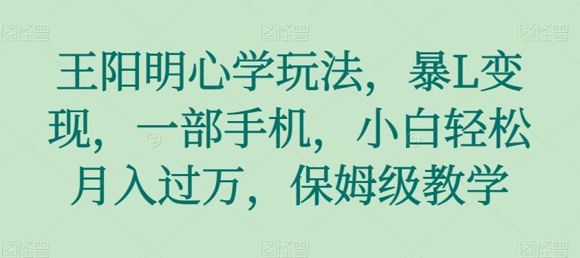 王阳明心学玩法，暴L变现，一部手机，小白轻松月入过万，保姆级教学【揭秘】-Ai创业网