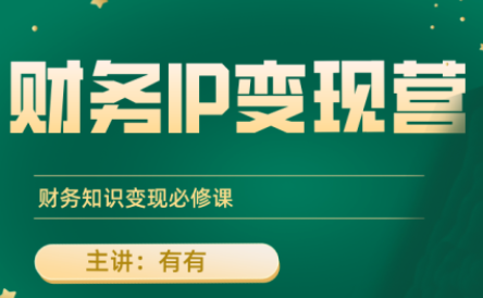 有有老师·财务IP变现营，财务知识变现必修课-Ai创业网