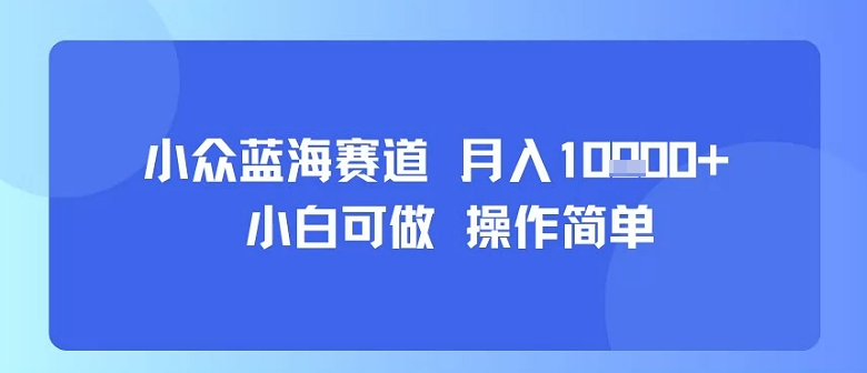 小众蓝海赛道，小白可做，操作简单，每天30分钟，月入1W+-Ai创业网