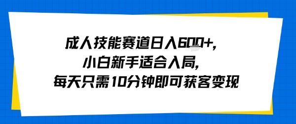 成人技能赛道日入多张，小白新手适合入局，每天只需10分钟即可获客变现-Ai创业网