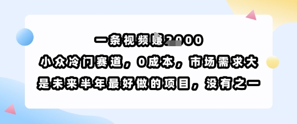 一条视频挣1k，小众冷门赛道，0成本，市场需求大，是未来半年最好做的项目，没有之一-Ai创业网