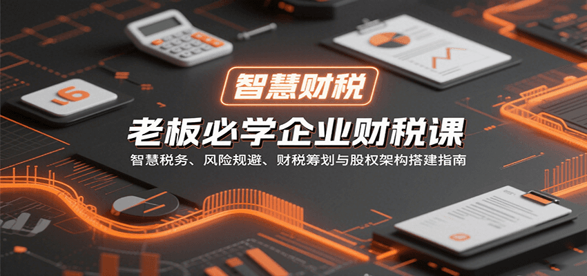 老板必学企业财税课：智慧税务、风险规避、财税筹划与股权架构搭建指南-Ai创业网