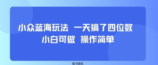 小众蓝海玩法 一天搞了四位数 小白可做 操作简单-Ai创业网