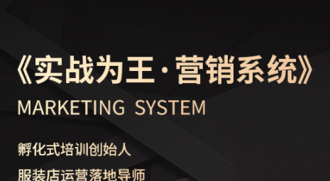 老杨·服装老板必修课《实战为王-营销系统》实现业绩被动式增长-Ai创业网