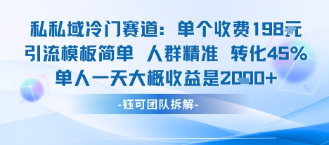 私域冷门赛道单个收费198米引流模板简单人群精准 45%的转化率单人一天大概收益多张-Ai创业网