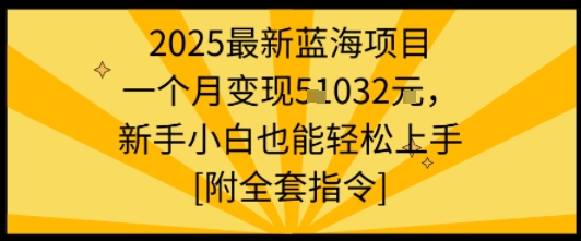 2025最新蓝海项目一个月变现1w+新手小白也能轻松上手【附全套指令】-Ai创业网