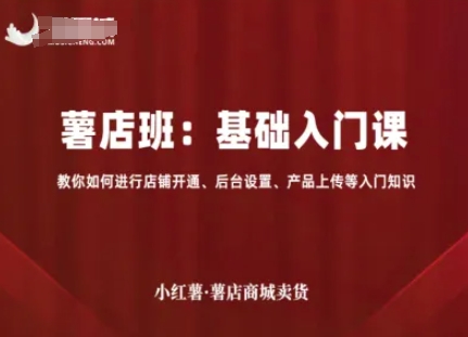 小红薯薯店商城卖货，基础入门课，教你如何进行店铺开通、后台设置、产品上传等入门知识-Ai创业网