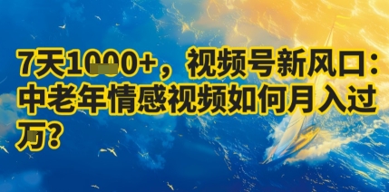 7天收益1k+，视频号新风口：中老年情感视频如何月入过W?-Ai创业网