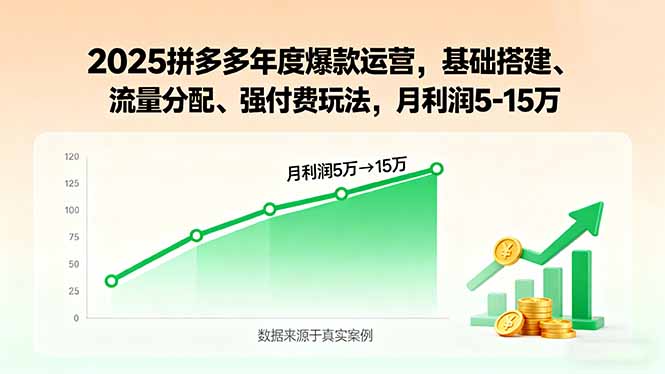2025拼多多年度爆款运营，基础搭建、流量分配、强付费玩法，月利润5-15万-Ai创业网