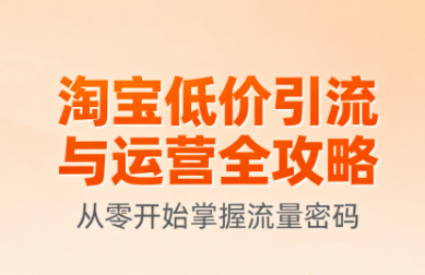 淘宝低价引流与运营全攻略(更新9月)-Ai创业网