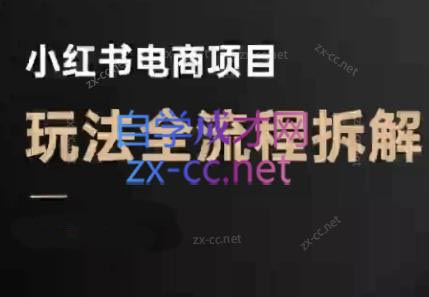 菲菲老师·小红书电商玩法(更新9月)-Ai创业网