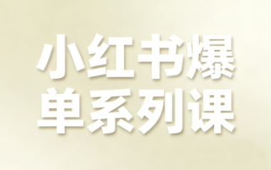 尼采老师·小红书爆单系列课-Ai创业网